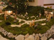 Ponocka Rakovica 2015-12